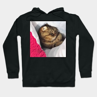 don't wake me up Hoodie